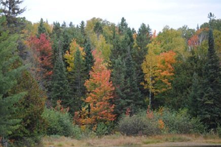 Fall forecast says gorgeous summer days to continue into October