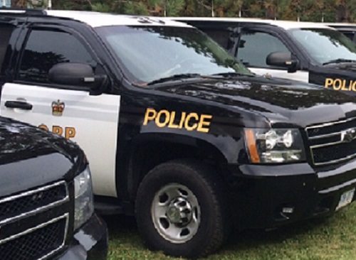 Afternoon RIDE stop leads to pot charge