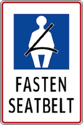 Seatbelt violation leads to additional charges for passenger