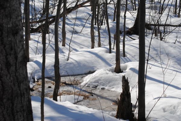 WINTER 2018: La Niña triggers stormy 3 months (Hold on!)