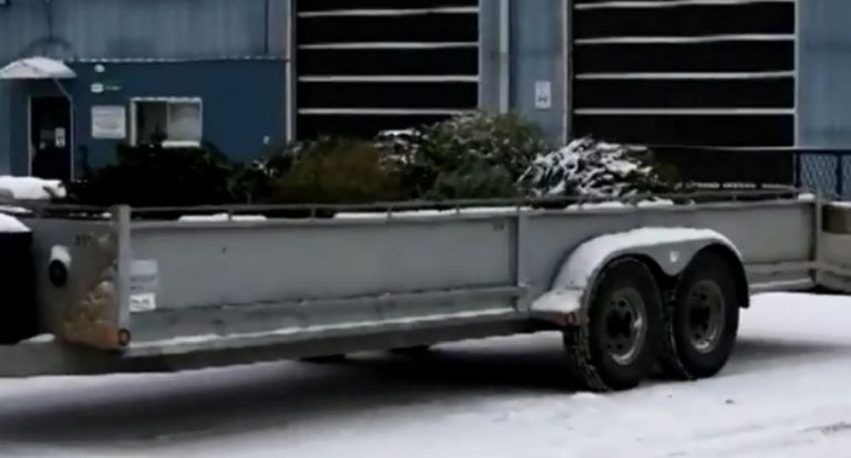 Free Christmas tree drop-off