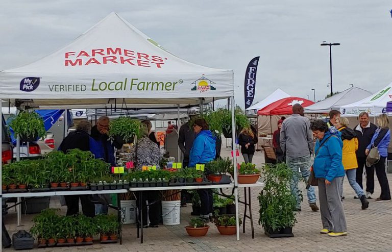 North Bay Farmer’s Market back for another season