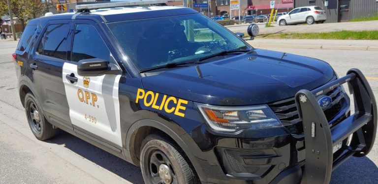 OPP asks public to “shelter in place” in Guillemette Road area