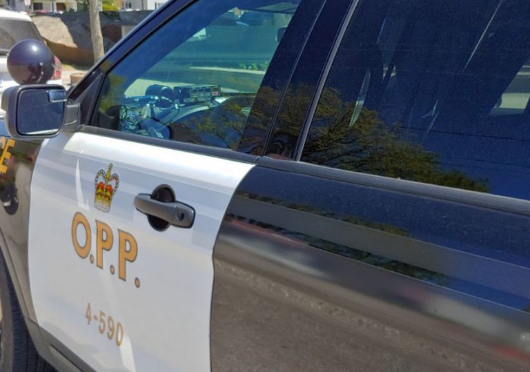 OPP: Man in ‘suspicious vehicle’ at park charged with breaching prohibition order