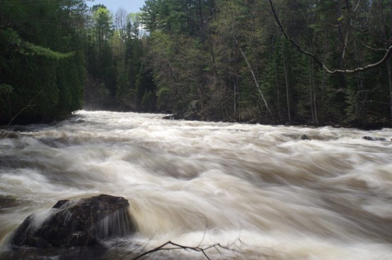 Movie production to shut down conservation area