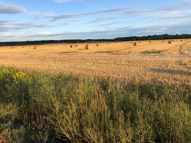 Local farming families to be honoured
