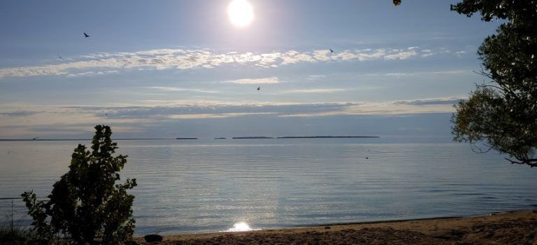 Swimming across Lake Nipissing for youth with disabilities