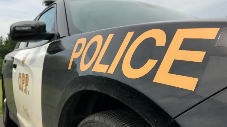 Licence plate violation results in charges for Bonfield resident