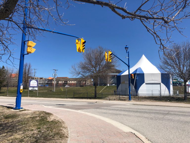 Carousel and mini-train planning to open this summer