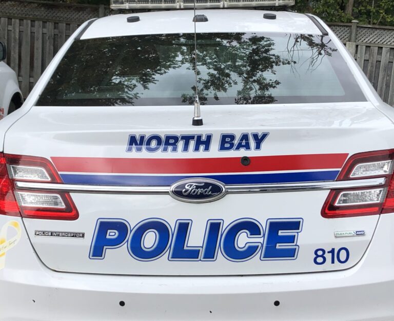 Memorial Drive assault leads to charges for North Bay man