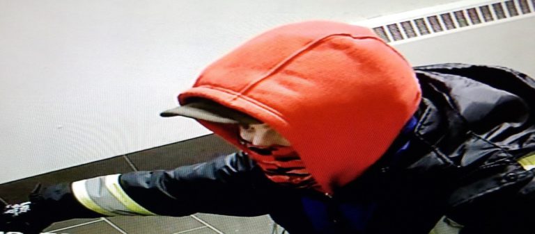 Police search for suspected thief