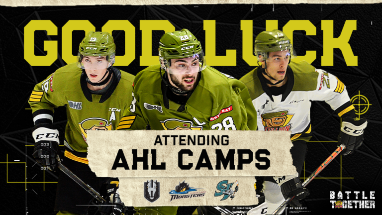 Three Battalion headed to AHL camps