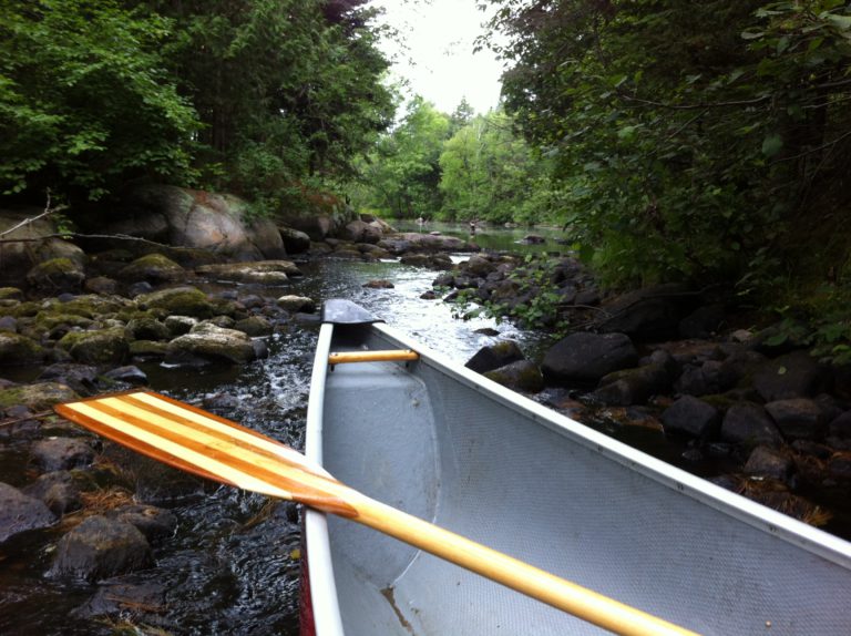 Friends of La Vase Portages holding virtual “Canoe Night”