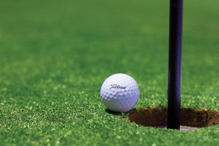 Over $35,000 raised at the 23rd Annual Osprey Links Charity Golf Gala