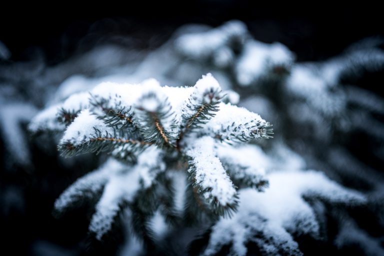 cold, cold warning, wind chill, freezing