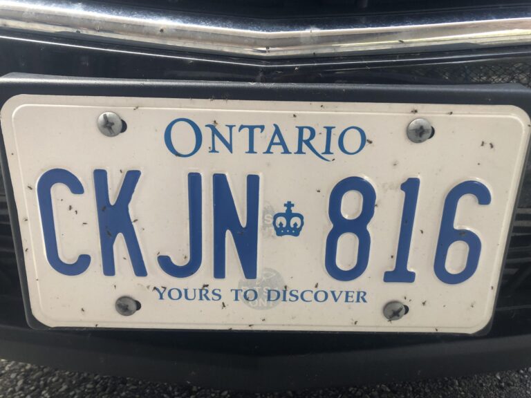 Province to end licence plate sticker fees in mid-March