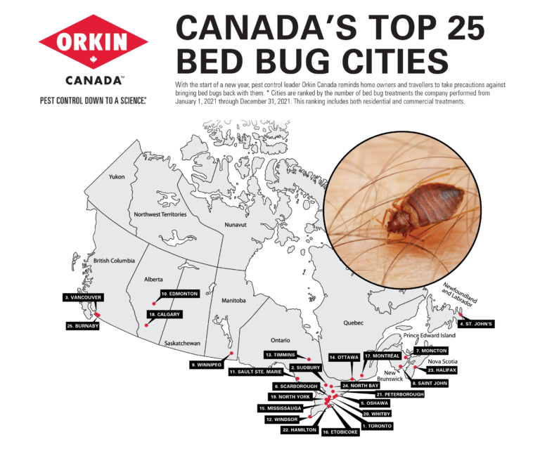 North Bay moving in the right direction on bed bug list