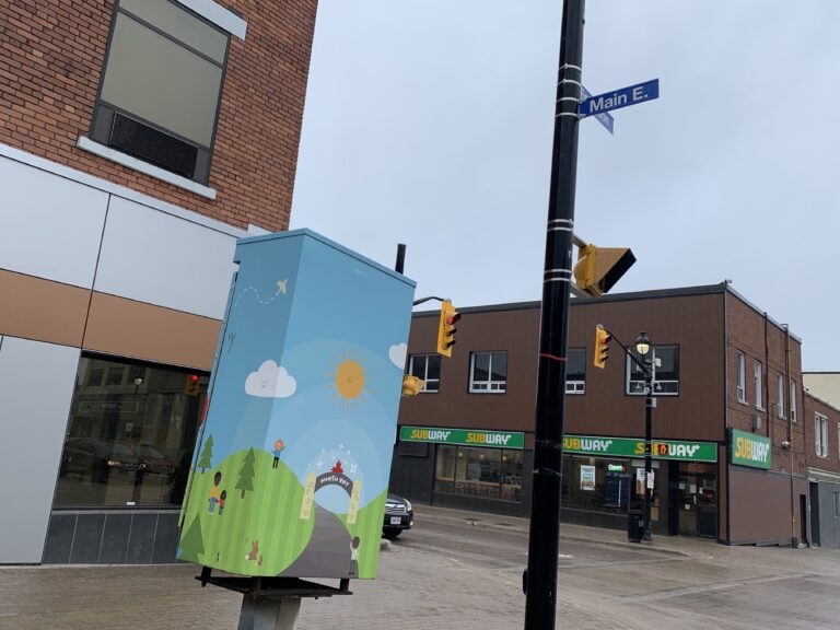 More traffic boxes to be wrapped with art locally