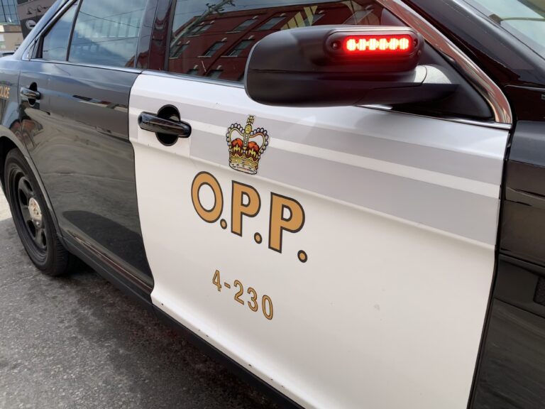 OPP looking to identify person who approached student