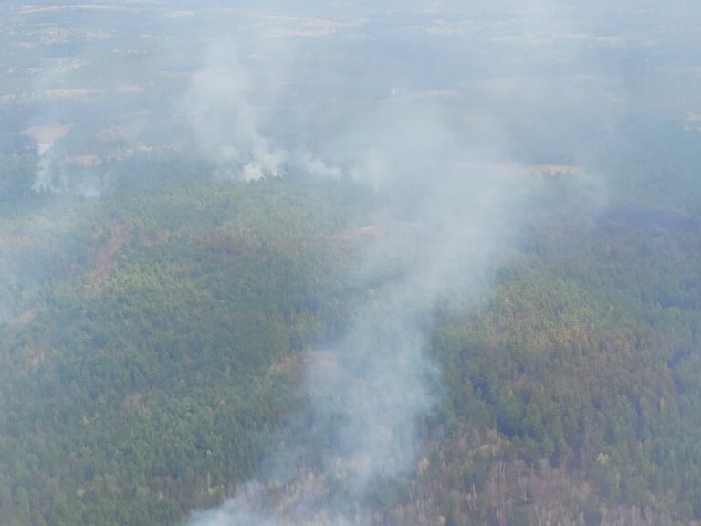 Ten forest fires in Northeastern Ontario since start of the season