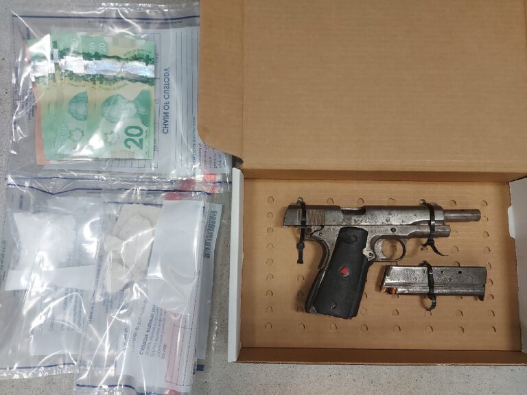 22-year-old facing drug trafficking, weapon charges