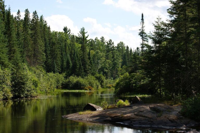 Mattawa honours Mel Edwards