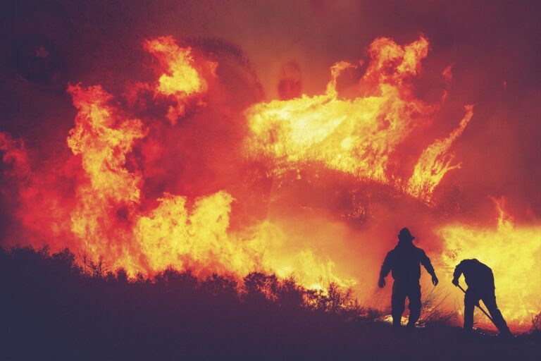 Not a busy season for forest fires — so far