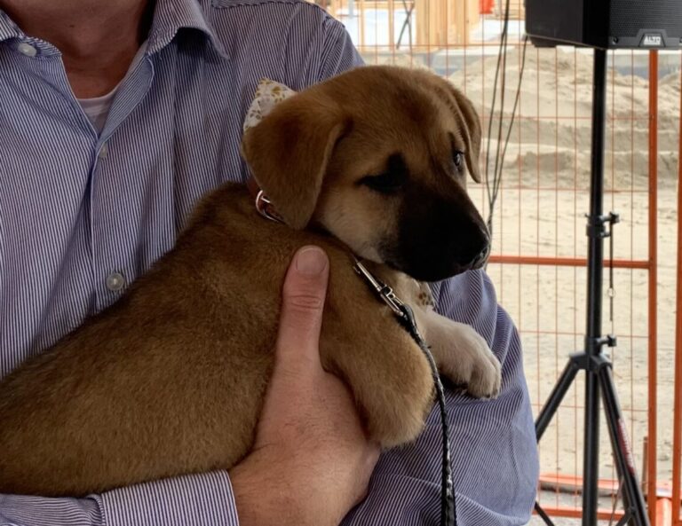 $250,000 grant supporting new pet adoption and wellness centre