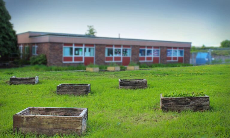 Four local CSPNE schools receiving Ontario Ecoschools certifications