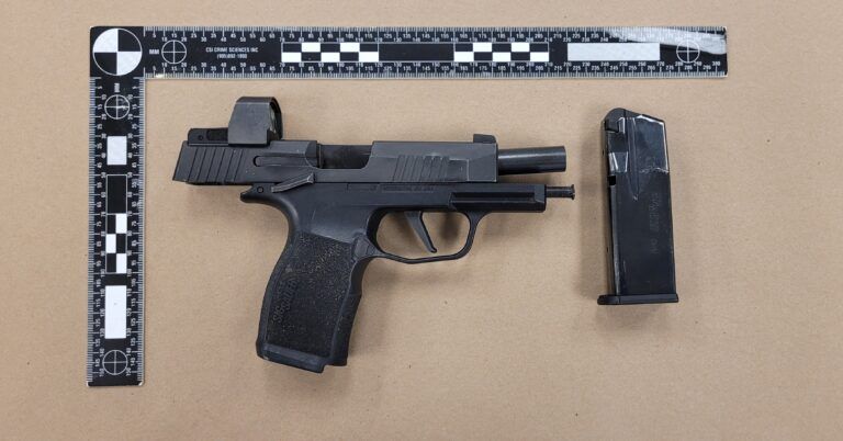 Traffic stop leads to gun and drug charges