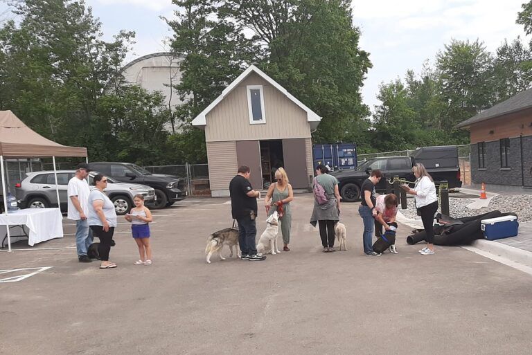 Record-breaking microchip tally at Barkfest