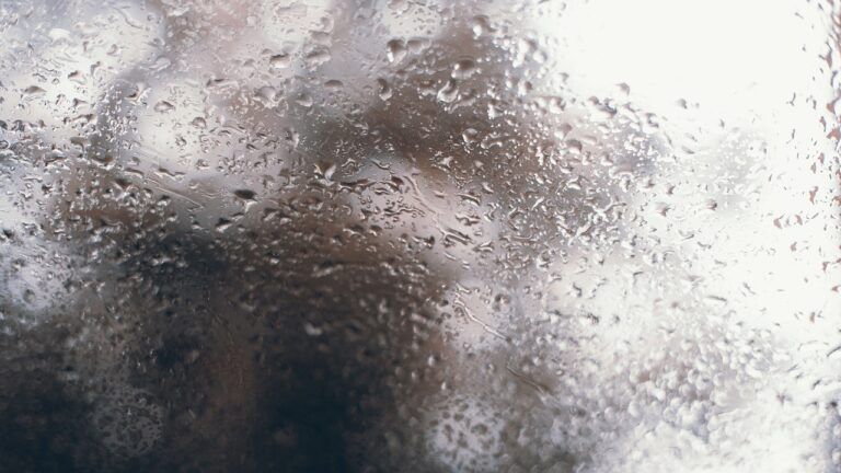 Special weather statement with rain in the forecast
