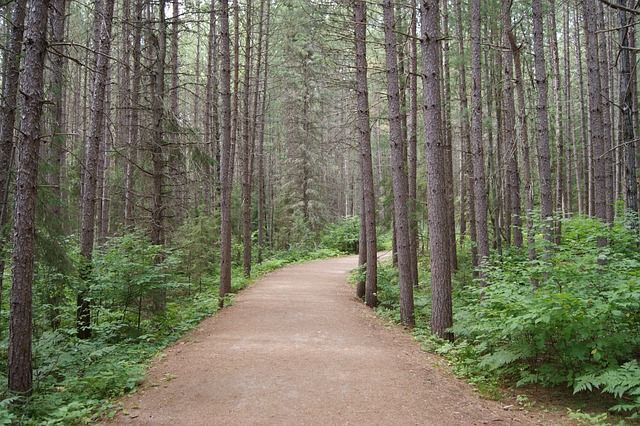 Ontario Parks marking Healthy Parks Healthy People Day