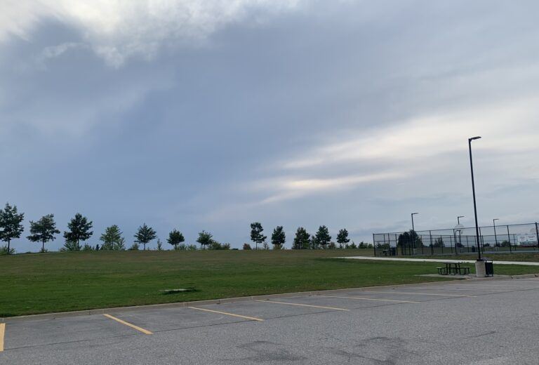 City looking for design input for the new All-Wheel Park