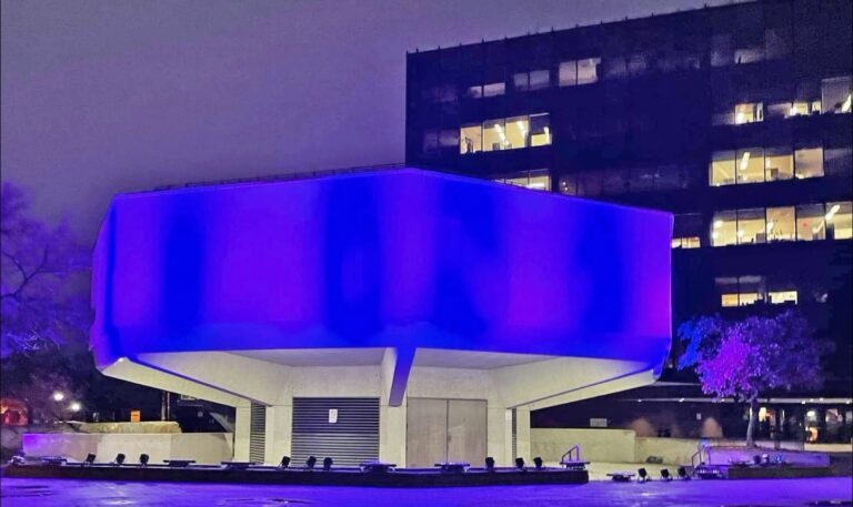 Local groups to ‘Light It Up’ purple and blue