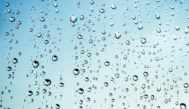 Rain water harvesting focus of NFN-Mexican collaboration
