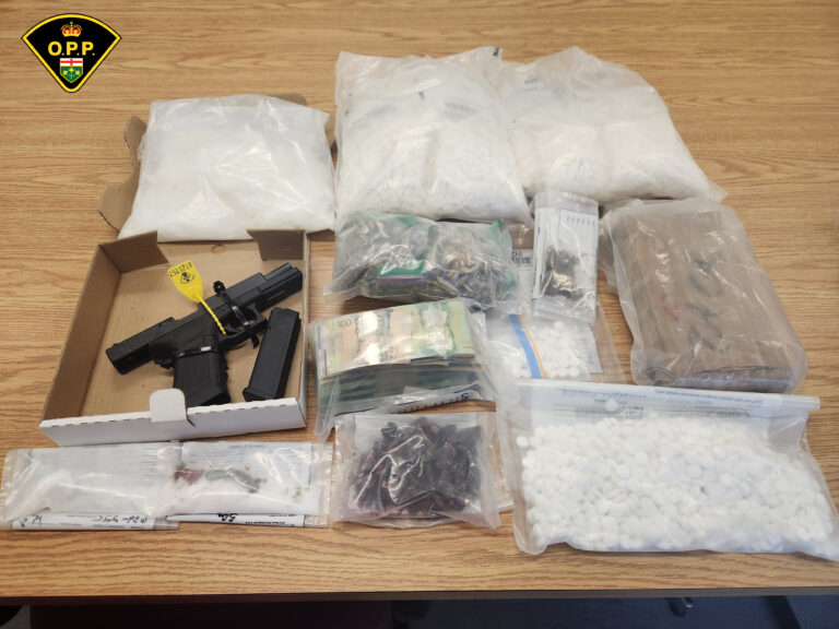 OPP seize $285,000 worth of suspected drugs and other property