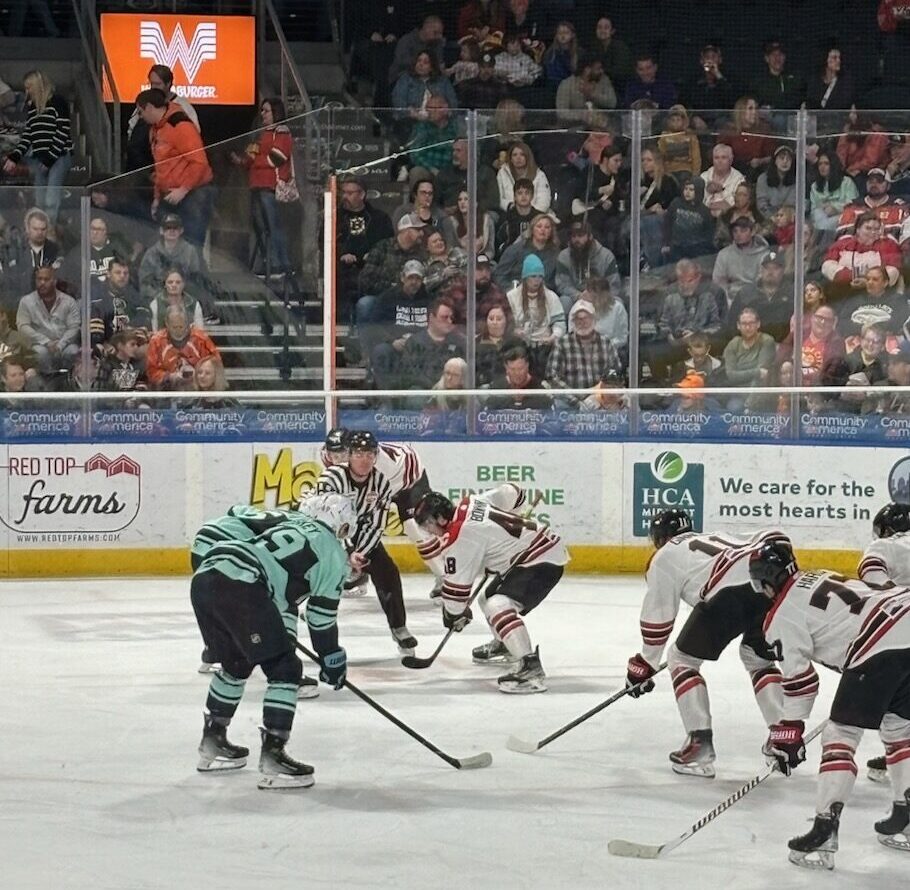Nipissing Lakers Captain making waves in top professional hockey league
