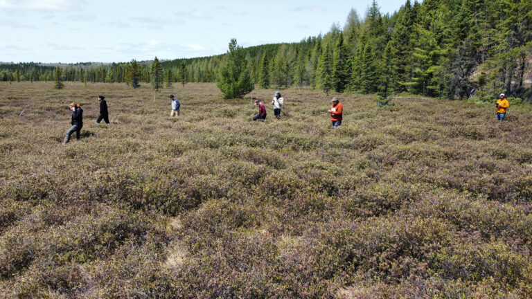 peatland research