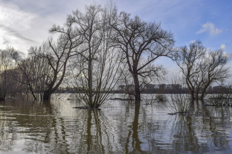 Flood watch issues for Lake Nipissing Shoreline