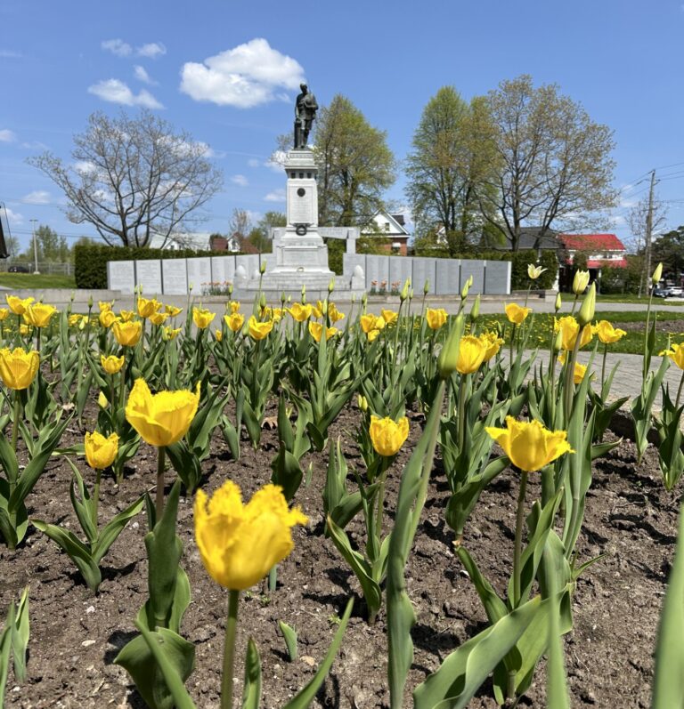 RCAF celebration in bloom around North Bay