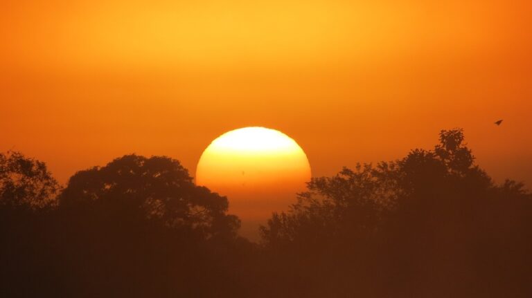 sunrise