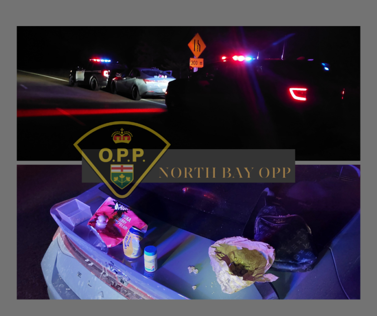 Stolen vehicle recovered at traffic stop