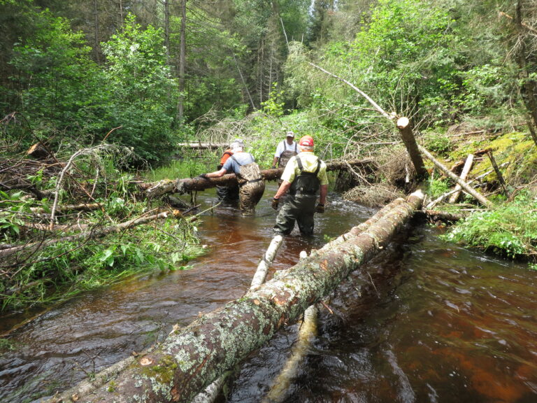 Depot Creek restoration project continues