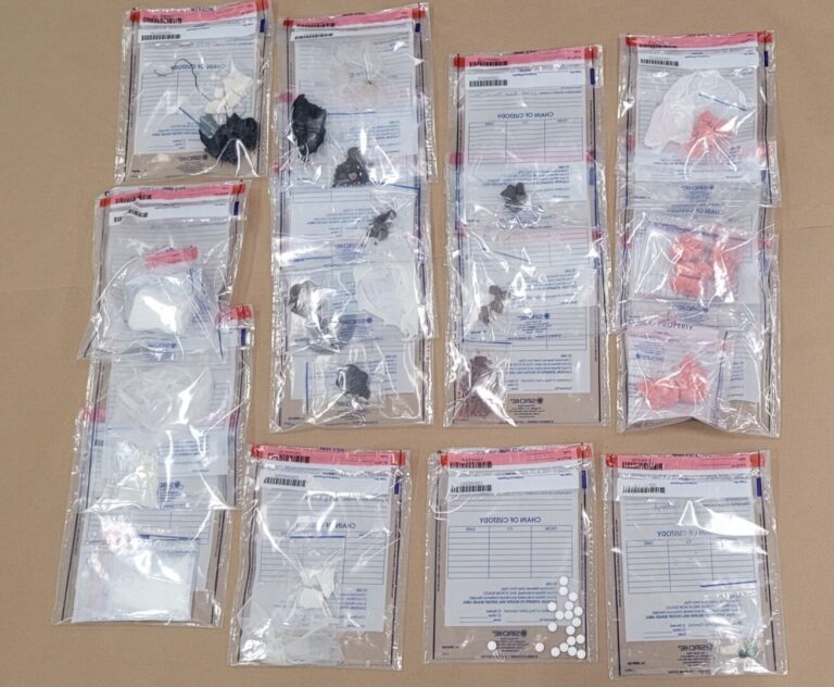 $130,000 worth of suspected drugs seized by city police