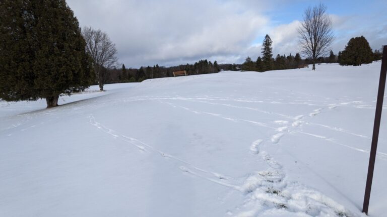 Area snow depth has dropped over 21 cm since mid-March