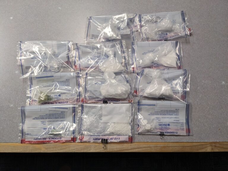 Undercover investigation leads to dozens of drug-related charges