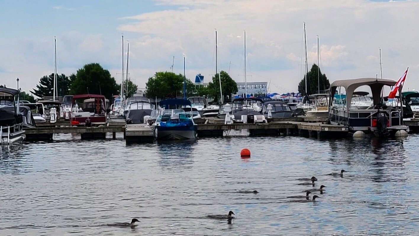 Marina Less Marina rehabilitation work getting underway : My North Bay Now