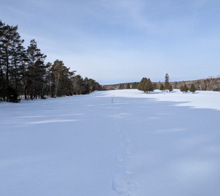 Normal snow depth continues in the area