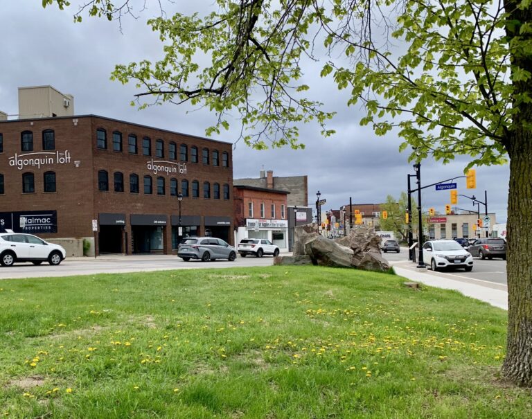 Council unanimously approves ‘The George Maroosis Parkette’